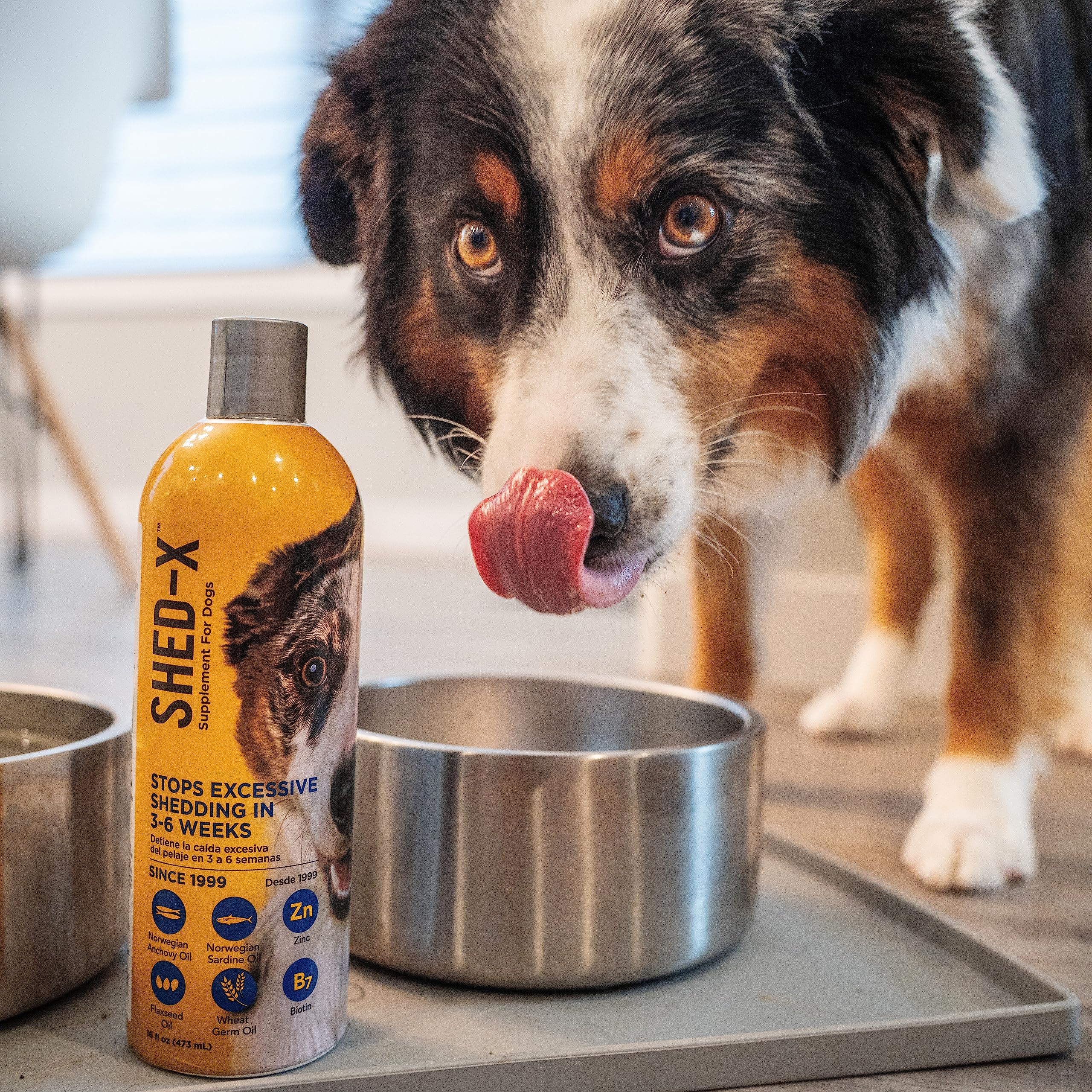 Shed-X Liquid Dog Supplement, 16oz - 100% Natural - Helps Control Excessive Dog Shedding with Fish Oil for Dogs Supplement of Es